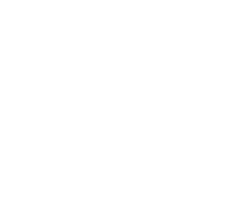 tuandui