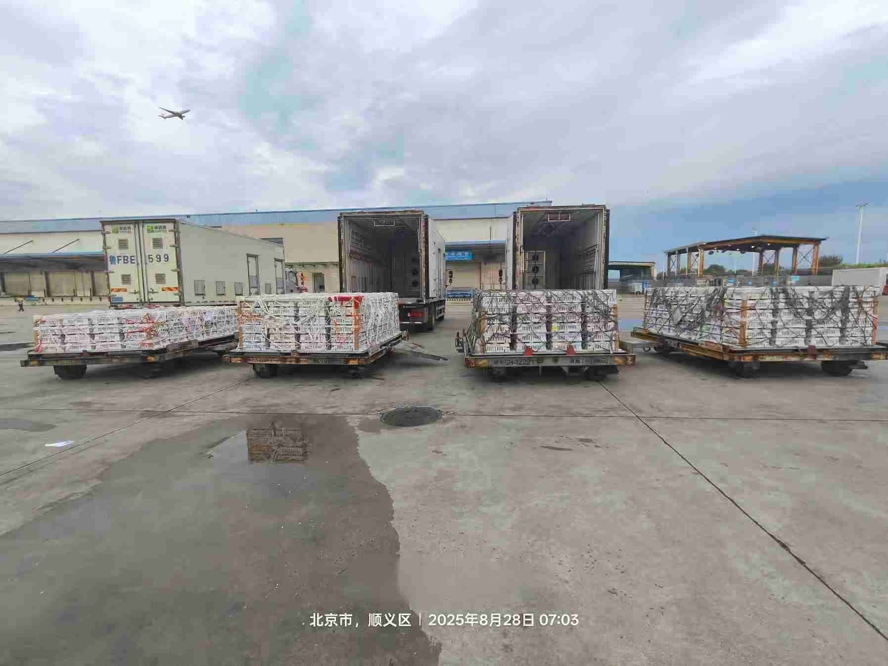 【引种】南宫NG28股份年度引种突破16万套，市占率59%稳居行业龙头