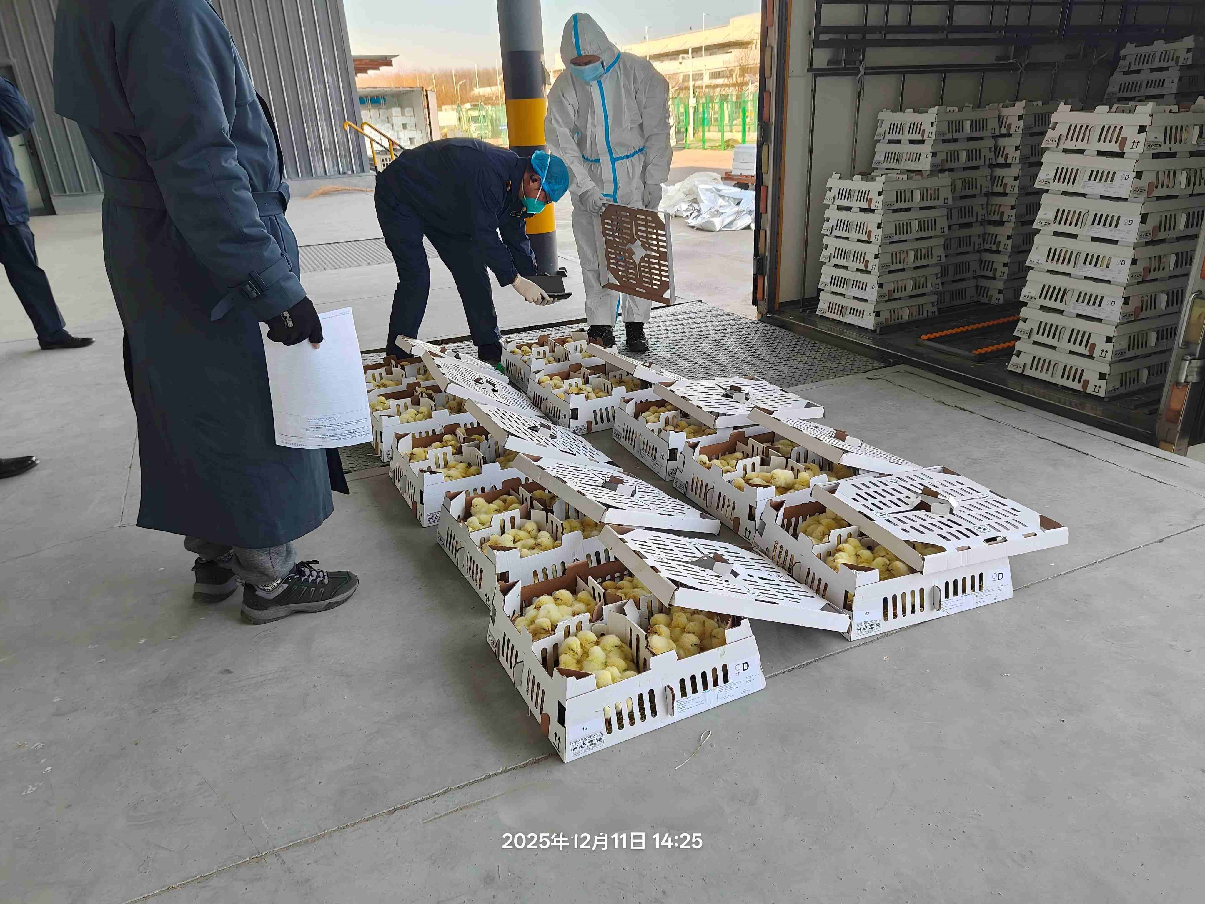 【喜讯】南宫NG28股份年度引种圆满收官，累计引种量高达26.6万套